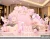 File Thiết Kế Backdrop Sinh Nhật Bé Gái Chủ Đề Cổ Tích Nàng Tiên Hoa Dễ Thương