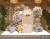 File Thiết Kế Backdrop Sinh Nhật Bé Trai Chủ Đề Gấu Teddy Tone Be Sang Trọng